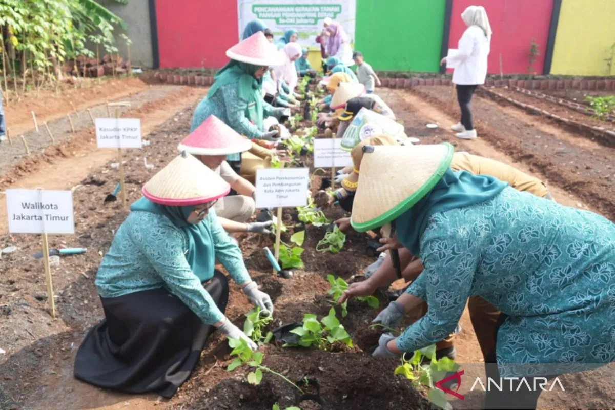Pemkot Jaktim Tanam 417 Bibit Pangan Pendamping Beras di Ciracas