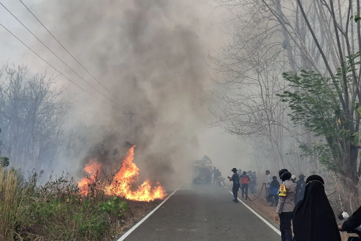 Pengamat Dorong Pengusutan Karhutla Menjangkau Korporasi, Tak Hanya Pelaku Perorangan